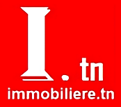 immobiliere immobiliere